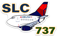 B-737 SLC Mother D Sticker