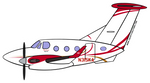 Kinga Air N315KA Sticker